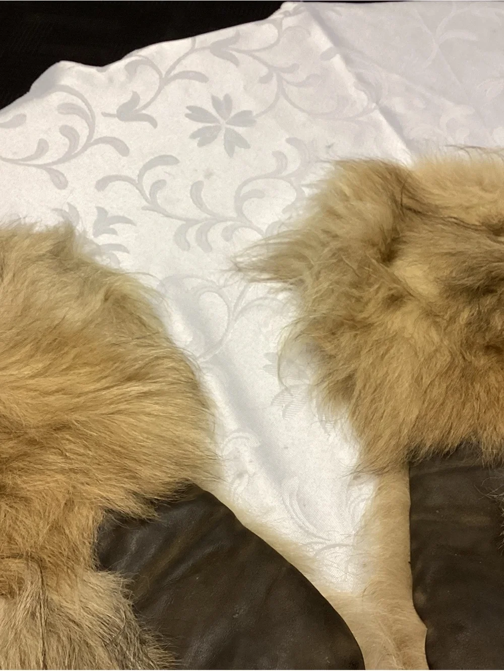 Fur Alaskan amazing vintage Mittens Gigantic sized must see ♥️♥️♥️♥️